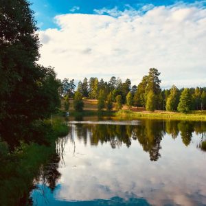 Venta Terreno Turístico con Laguna full