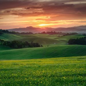 Campo Agrícola XXX full
