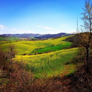 Campo Agrícola XXX full